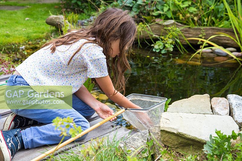 Young girl pond dipping in her garden. Checking net