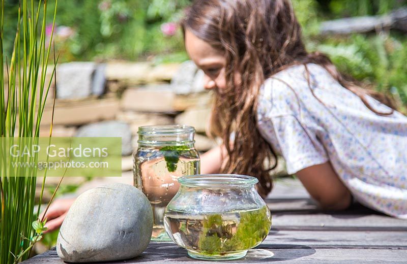 Young girl pond dipping in her garden.