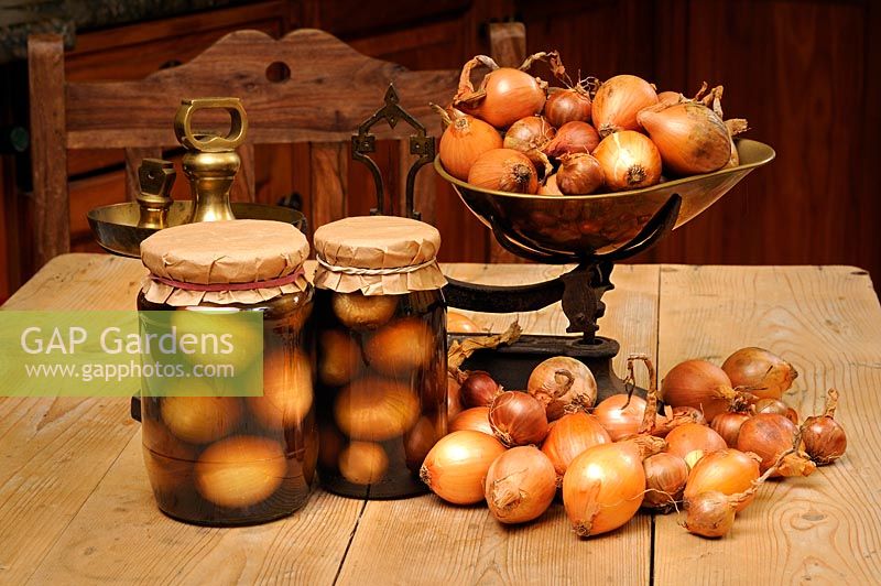Rustic country kitchen scene with home made jars of pickled onions, pickling onions and traditional kitchen scales
