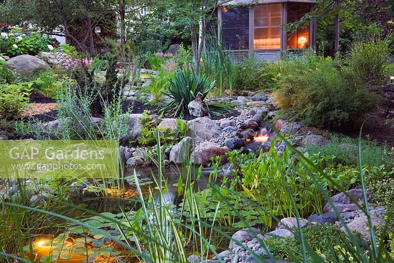 Pond with a waterfall and Typha minima,  Pondeteria cordata, Nymphaea in backyard garden at dusk in summer, Illuminated gazebo in the background, Under the Apple Trees garden, Canada