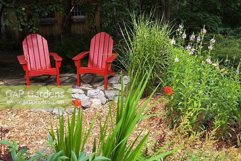 Two red wooden Adirondack chairs on flagstone patio next to Miscanthus sinensis 'Strictus' - Zebra Grass, pink flowering Physotegia virginiana - Obedient Plant, red Crocosmia montbretia 'Lucifer' 