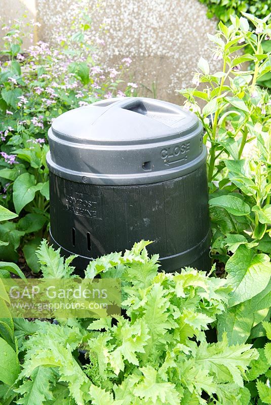 Plastic compost bin positioned in an overgrown corner of the garden.