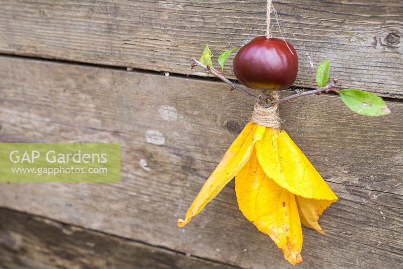 Conker Fairy. Materials used are Aesculus hippocastanum - Conkers, Jute twine, autumnal leaves and a Prunus cutting. 