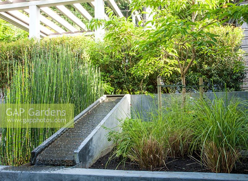 Waterfall down steps with Equisetum hyemale and Stipa arundinacea 