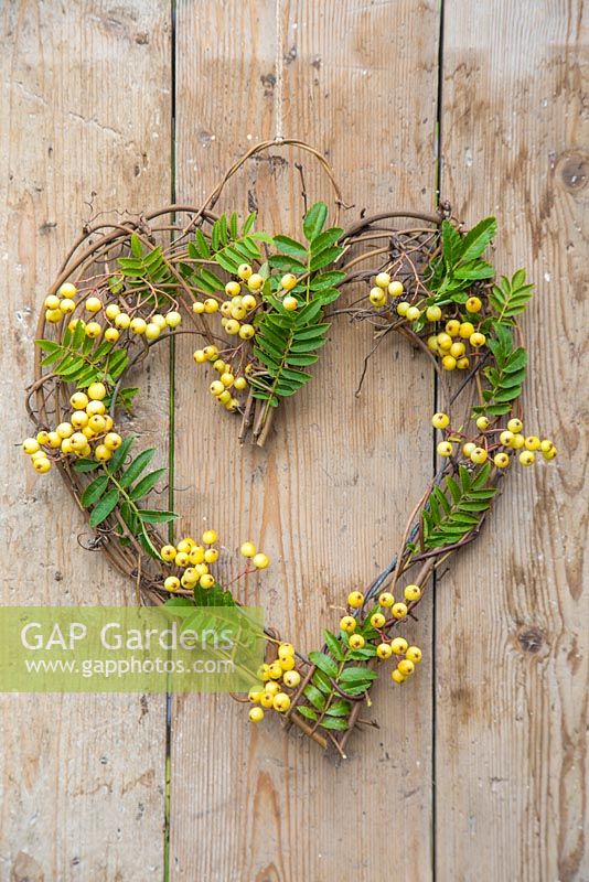 A heart shaped wreath with Sorbus berries and foliage