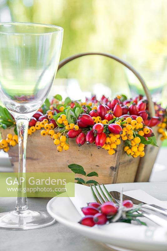 Rosa - Rose hips and Sorbus berries used as table place setting components