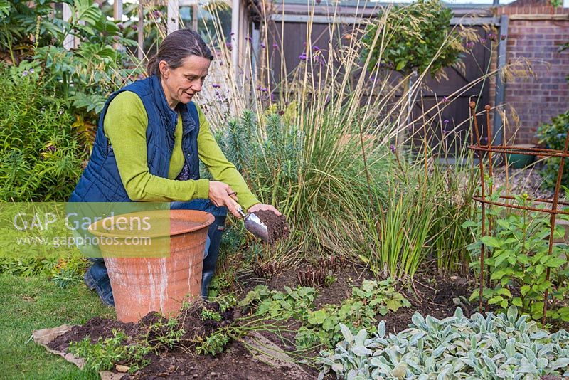 Re-using spent container compost as a mulch for a garden border