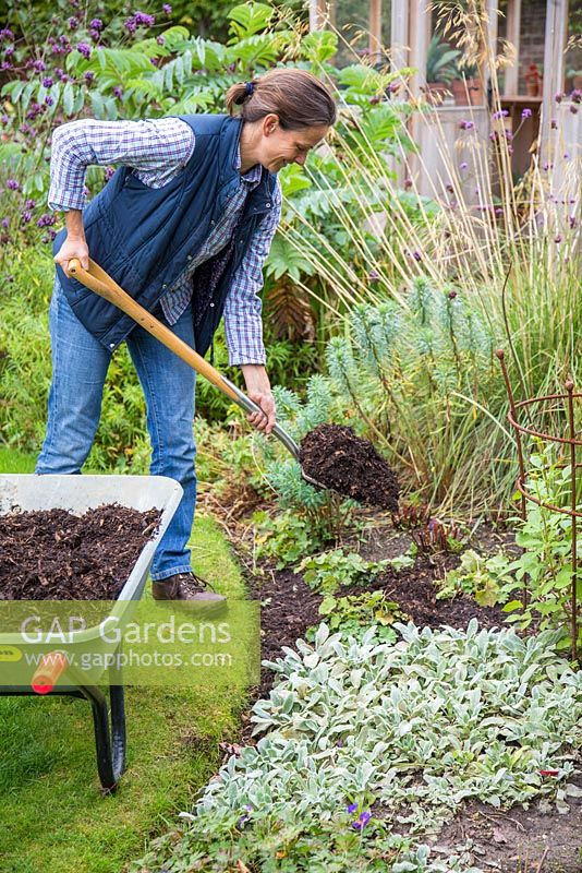 Woman mulching garden border with fresh manure