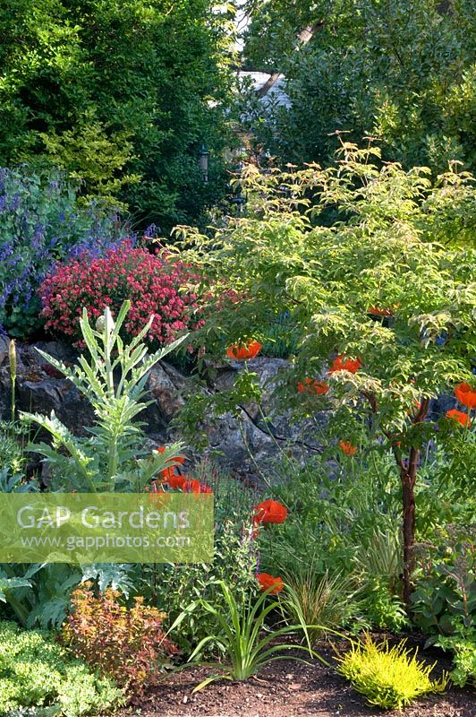 Mixed Summer border. Victoria BC, Canada