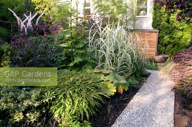 Gravel path leading through summer borders to house exterior. Victoria BC, Canada