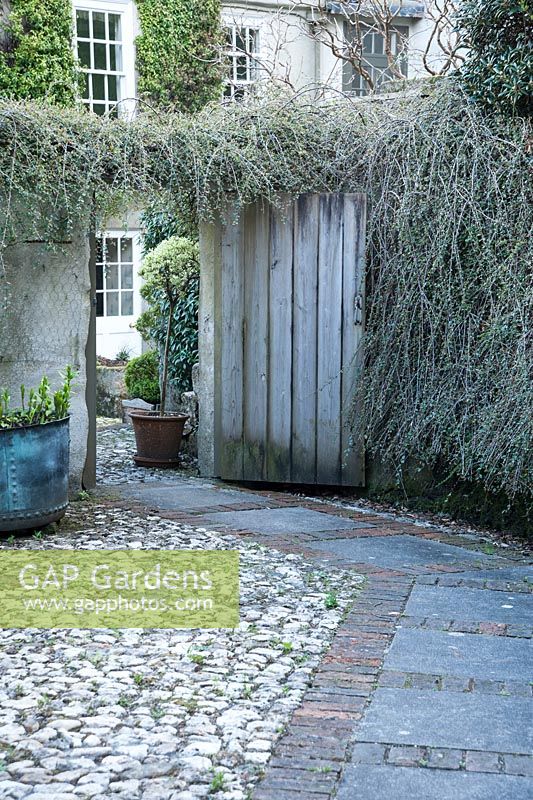 Path through cobbled courtyard to gate framed with clipped, trailing cotoneaster. Bosvigo House, Truro, Cornwall, UK