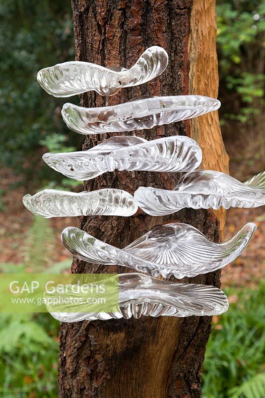 Tree Fungus sculpture by Stephen Beardsell made from oak and glass. The Hannah Peschar Sculpture Garden designed by Anthony Paul, landscape designer