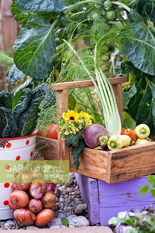 Display of home grown vegetables.