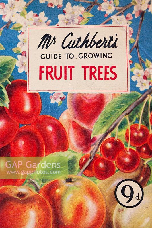 Close up of Mr. Cuthbert's guide to growing fruit trees. Antique illustrated booklet.