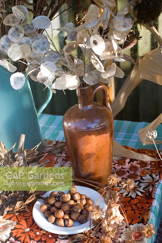 Dried flowers and seedheads for arranging - honesty and hazlenuts