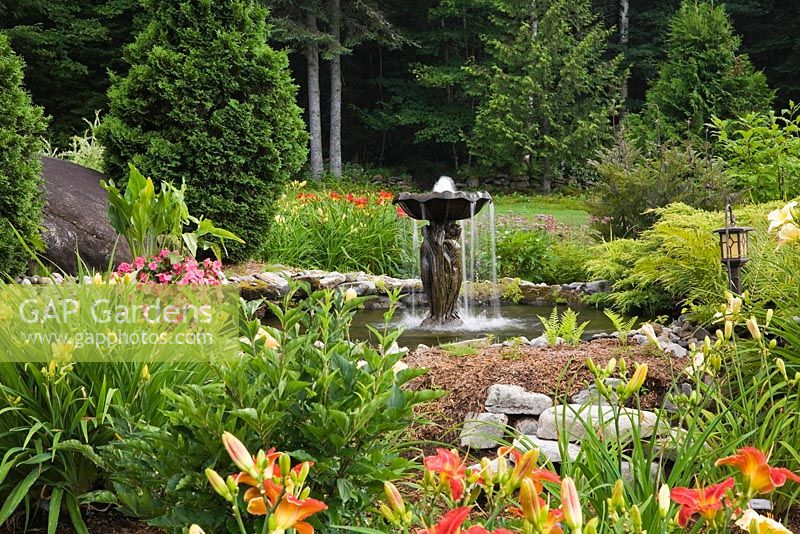 Yellow Hemerocallis 'Condilla' and red 'Scarlet Orbit' - Daylily flowers in border next to a pond with water fountain and backed by Thuja - Cedar Trees in front of a woodland in backyard country garden in summer, Jardin des Mesanges garden, Quebec, Canada