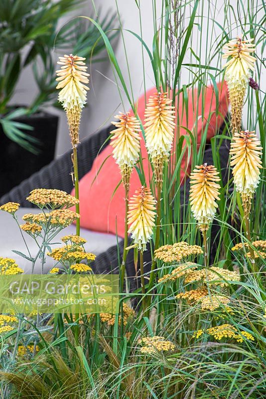 Achillea millefolium 'Terracotta' and Kniphofias with view to seating area. Garden: Hedgehog Street. 