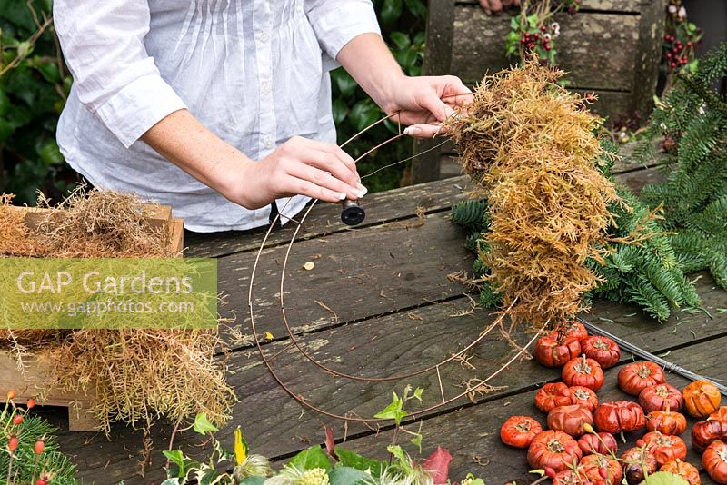 Woman making a Christmas wreath using a 40cm wire wreath frame, sphagnum moss, spruce, dried pumpkins, rose hips and ribbon.