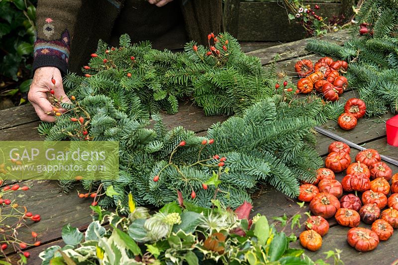 Woman making a Christmas wreath using a 40cm wire wreath frame, sphagnum moss, spruce, dried pumpkins, rose hips and ribbon. The rose hips' stems are pushed between the spruce, into the moss.
