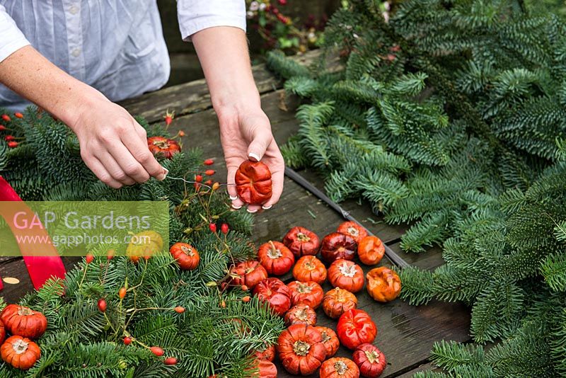 Woman making a Christmas wreath using a 40cm wire wreath frame, sphagnum moss, spruce, dried pumpkins, rose hips and ribbon. Lengths of florists' wire are inserted into each dried pumpkin, and secured beneath.