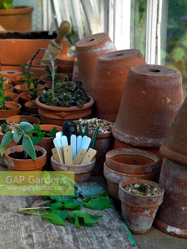 Work bench in the potting shed, complete with cuttings ready for potting, terracotta pots, plant labels, string, dibber and knife.