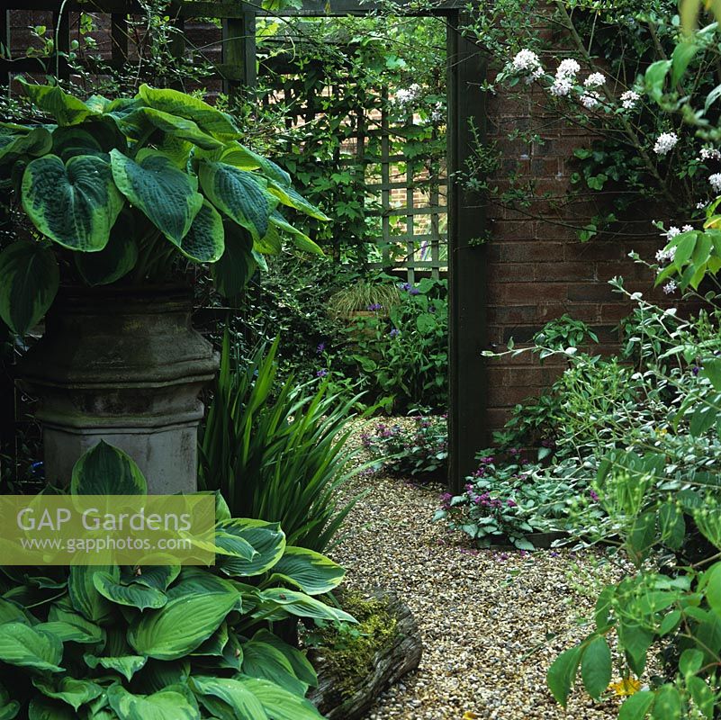 A tall mirror reflects the trellis and pergola opposite, creating an illusion of a long view, making the 16 metre square garden seem longer. Left side: hostas in old chimney pots.
