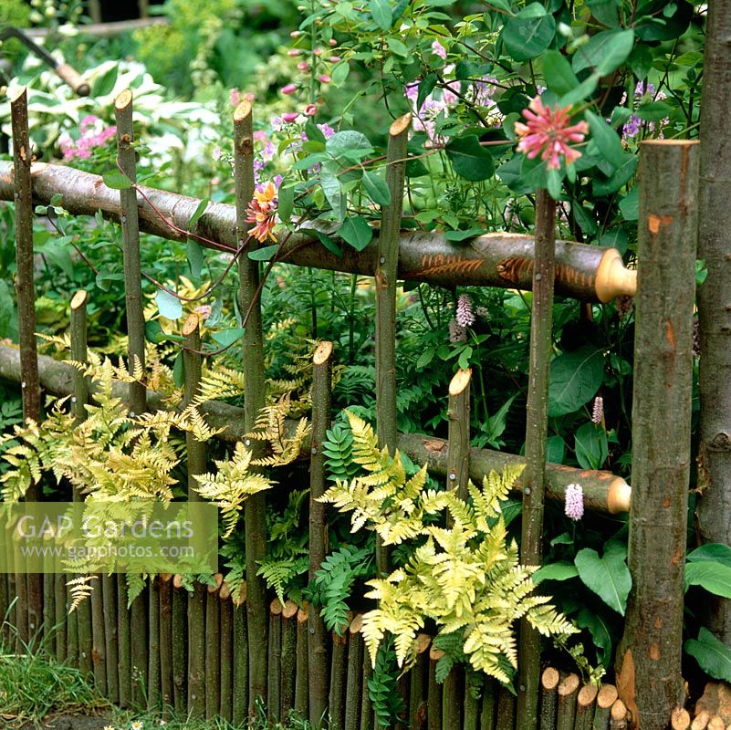 Picket style fence made from hazel branches creates natural screen in border, providing support for climbing plants as well as visual divider.