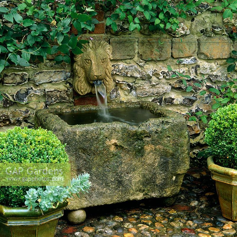 Ancient stone trough fed by lion mask wall fountain, Flanked by box balls, backed by flint and stone wall.