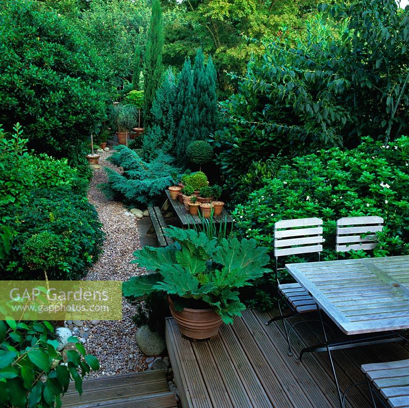 Raised deck with teak dining table overlooks long, thin town garden with strong evergreen structure and winding pebble path.