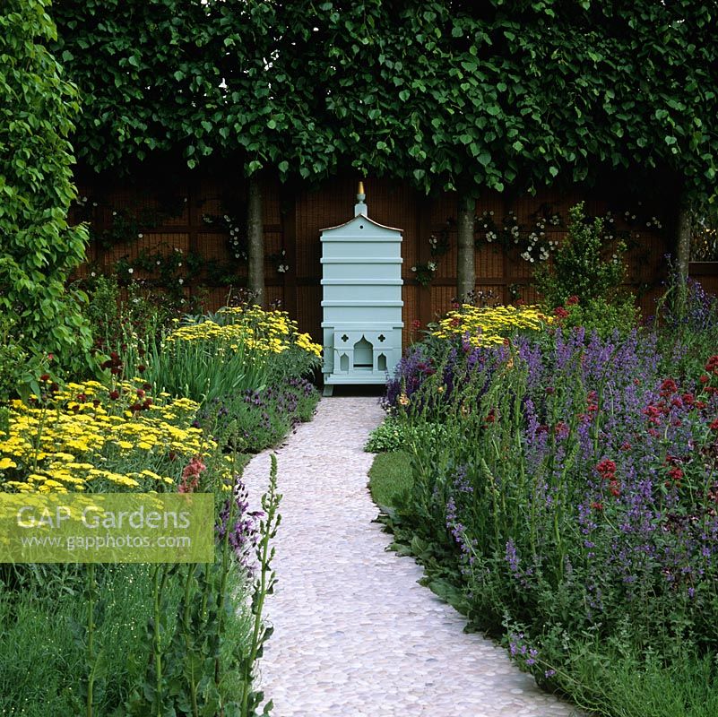 By pleached lime hedge, beehive at end of path made from pebbles set in concrete. Plants: achillea, lavender, catmint, cirsium and valerian.