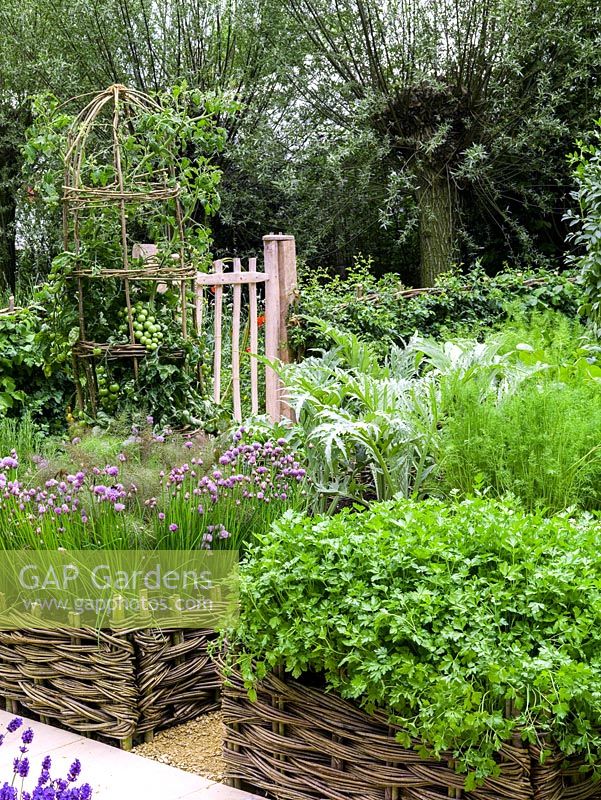 Organic potager: raised beds of woven willow panels. Herbs: thyme, chervil, mint, coriander,lavender, rosemary. Veg: pea, artechoke, chard, beetroot, carrot, chives, beans, tomatoes.