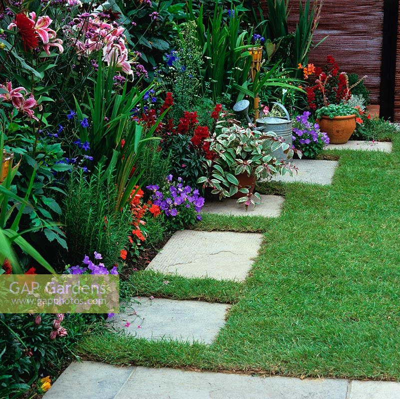 Individual paving slabs are inset into lawn, breaking up straight line edge, and bordered with dahlia, gladioli, campanula, gazania, busy lizzie and snapdragon.