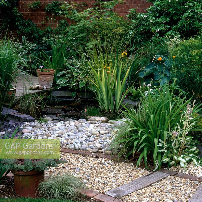 Small wildlife pool edged in pebbles and slate: planted with iris, hosta, Bowles golden sedge, fern and water lilies. Behind, Japanese acer and choisya.