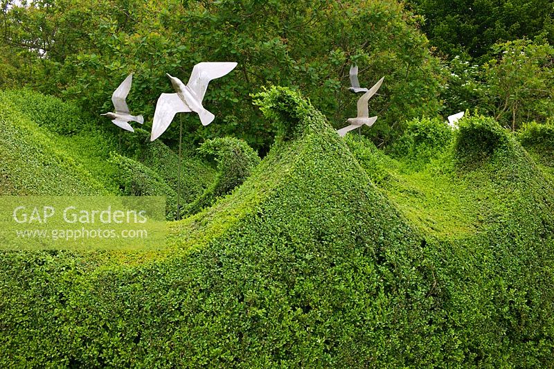 Clipped topiary hedge of Buxus sempervirens in the shape of waves with sculptural seagulls by Diane Maclean at Farleigh House, Hampshire