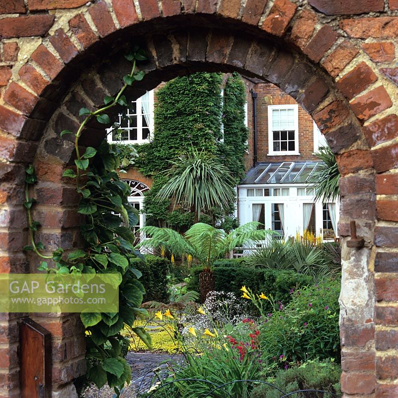 Doorway in Georgian brick wall affords glimpse of town garden with penstemon, geranium,  tree ferns, creeping Jenny, cordyline, palm, golden day lily and ligularia.