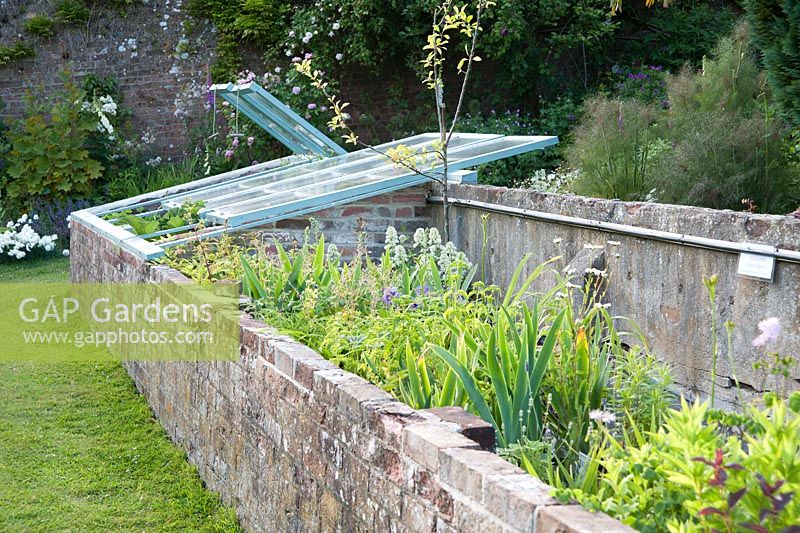 Restored cold frames containing plants for sale, propagated from the garden. Littlebredy Walled Gardens, Dorset