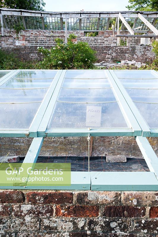 Restored cold frames containing plants for sale, propagated from the garden. Littlebredy Walled Gardens, Littlebredy, Dorset