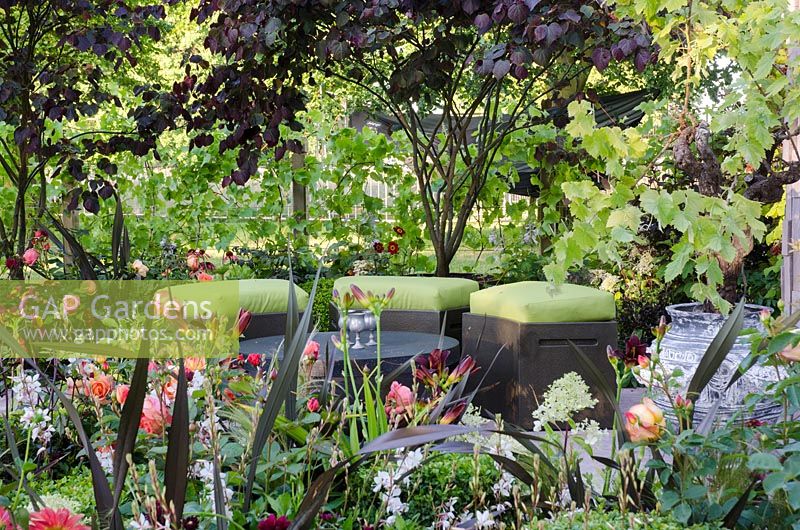 Seating area under Cercis canadensis 'Forest Pansy' and flowers of hemerocallis 'Black Stocking' - Bacchus Garden, RHS Hampton Court Palace Flower Show 2014
