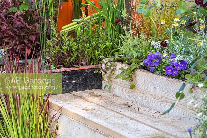 A seating area beside a water tank, with planting of Imperata cylindrica 'Rubra', Campanula, Cosmos atrosanguineus, Ajuga reptans 'Braunherz' and Anthemis tinctoria 'Sauce Hollandaise' beside a water tank and metal grid path. Garden - A Space to Connect and Grow.