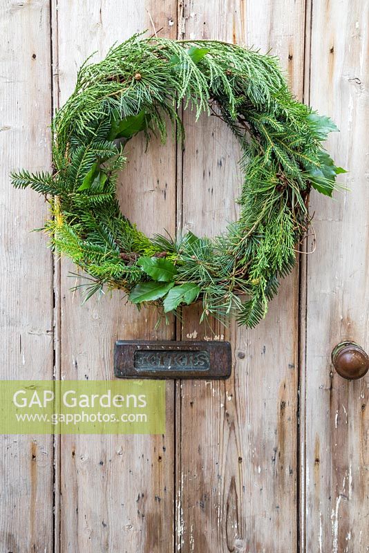 Mixed Evergreen Wreath hanging on a wooden door. Foliage contains Sequoiadendron giganteum, Pinus, Larch and Ilex aquifolium