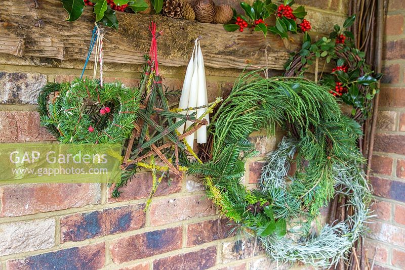 Mixed evergreen wreath hanging on a rustic tool rack, with a helichrysum italicum wreath and mixed evergreen hearts. Foliage includes Sequoiadendron giganteum, Pinus, Larch and Ilex aquifolium