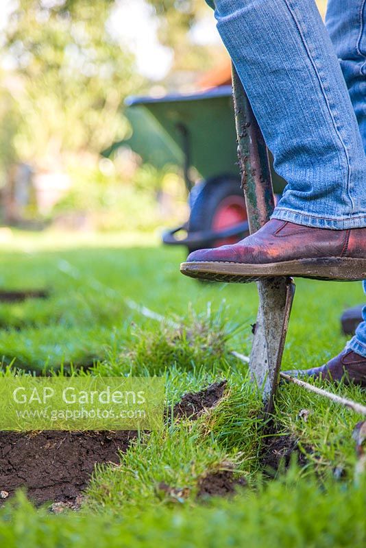 Following the rope guide, use a spade to begin edging the new path. 