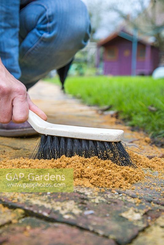 Using a hand brush gently brush and fill in the cracks between the bricks with coarse grit sand.