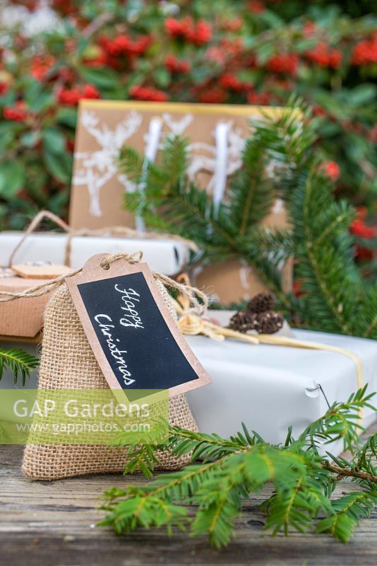 Christmas present wrapped in Hessian, accompanied with Yew foliage