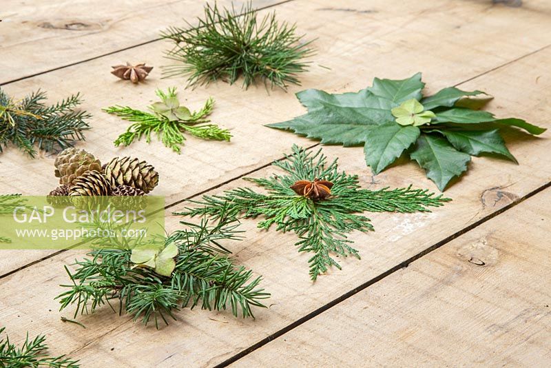 A variety of Christmas stars, made from foliage of various evergreen trees. Lithocarpus - Stone oak, Juniper, Conifer, Pinus and Sequoiadendron giganteum.