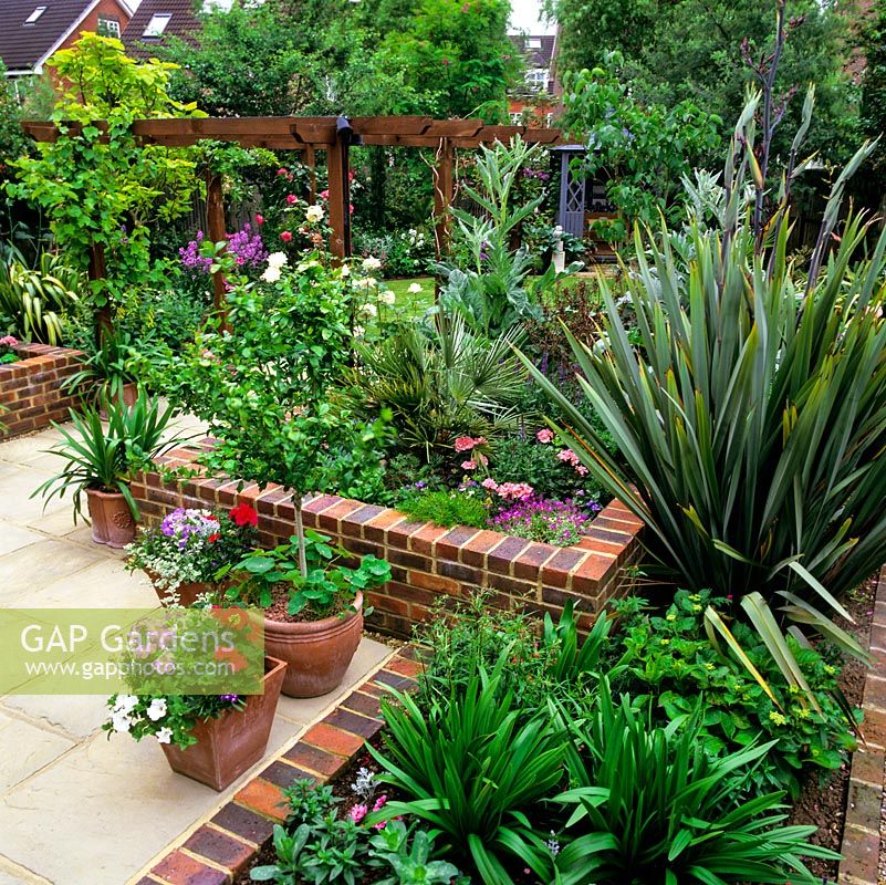 21-metre-deep rear garden with paved terrace edged in raised beds of cardoon, phormium, agapanthus, geranium and palm. Pergola leads to lawn.