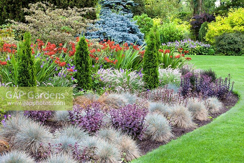 Mixed border with Thuja occidentalis Degroot's Spire at Foggy Bottom, The Bressingham Gardens. Designed by Adrian Bloom.