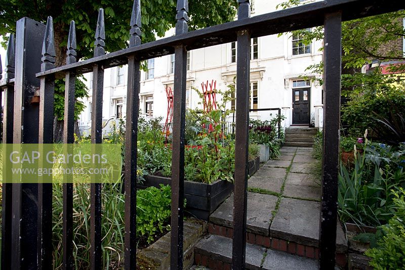 Front garden with original iron railing fence, with details of raised vegetable beds, Brixton