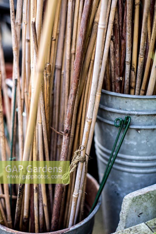 Bamboo canes stored in galvanised metal buckets in town garden, Brixton