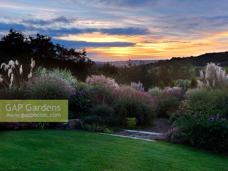 The Anniversary Grass Garden at dawn, planted with Miscanthus, Deschampsia, Cortaderia and Stipa.